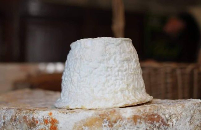 Degustazione di sidro e formaggio a Cuevas del Agua - Foto 2