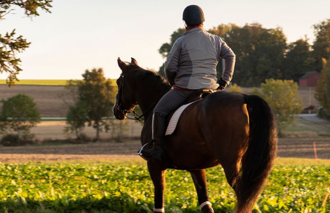 Paseo a caballo por Guarda - Foto 4