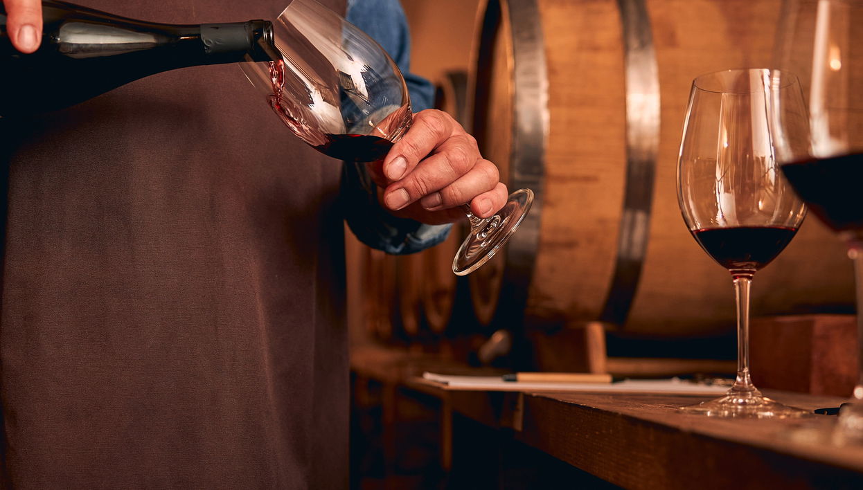 Comida o Cena en una bodega de Montecatini Terme + Cata de vinos