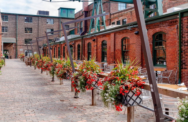 Visita guiada pelo Distillery District - Foto 1