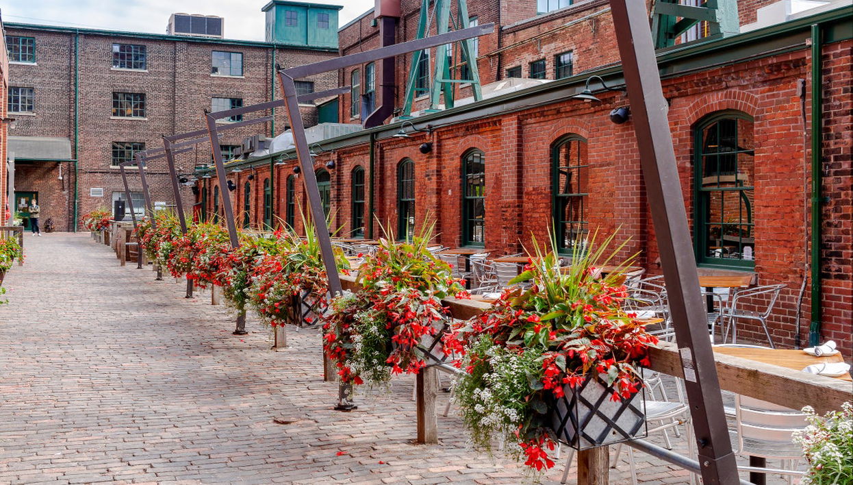 Visita guiada por Distillery District - Foto 1