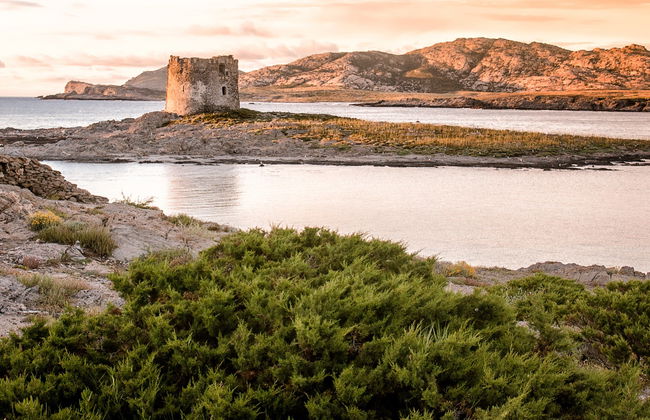 Gulf of Asinara Sunset Catamaran Trip - Photo 4