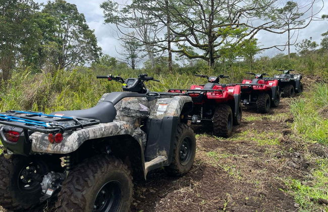 Tour en quad por el este de la Isla de Hawái - Foto 6