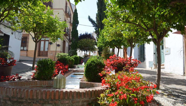 Estepona Guided Tour - Photo 5