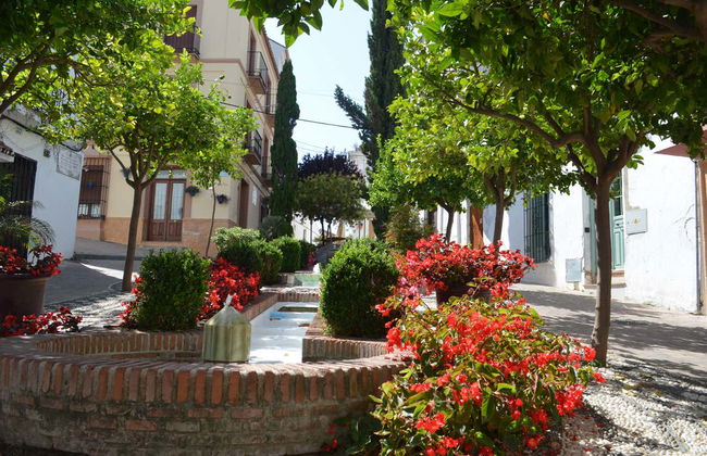 Estepona Guided Tour - Photo 5