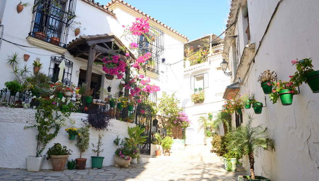 Estepona Guided Tour - Photo 4