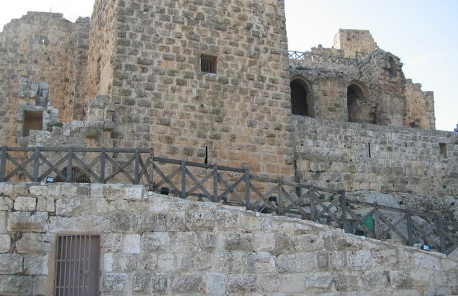 Excursión de un día completo a Jerash, Ajloun y la ciudad de Amán - Foto 4