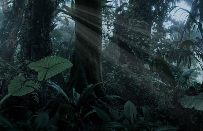 Iryapú Nature Reserve Nighttime Hike - Foto 3