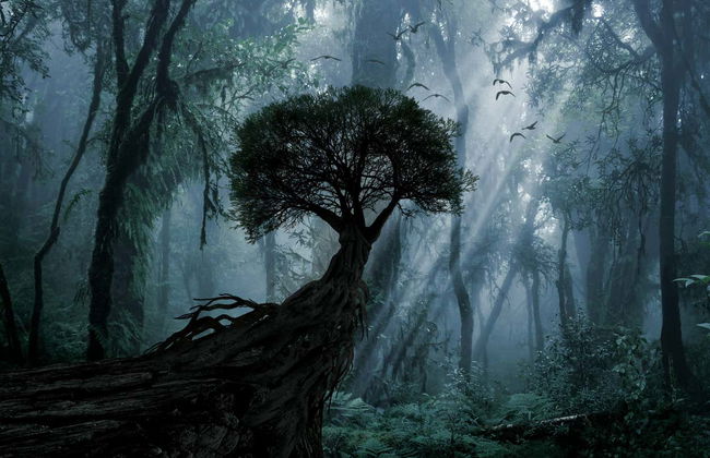 Iryapú Nature Reserve Nighttime Hike - Foto 1