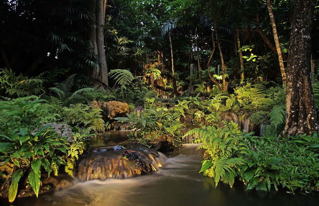 Iryapú Nature Reserve Nighttime Hike - Foto 7