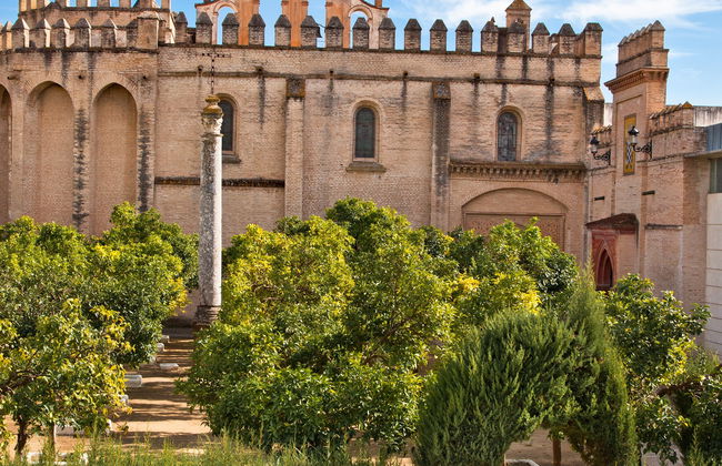 Visita guiada al monasterio de San Isidoro del Campo - Foto 3