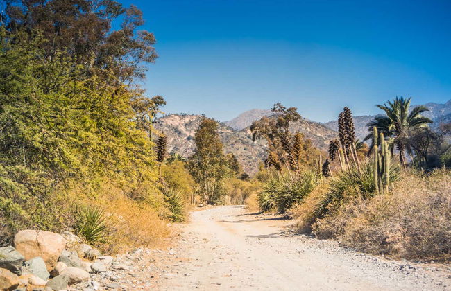 La Campana National Park Trip - Photo 8