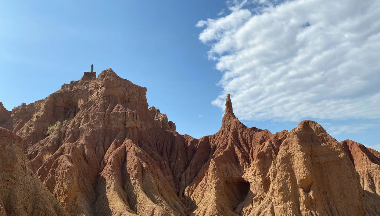 Excursión al desierto de la Tatacoa + Observación de estrellas - Foto 1