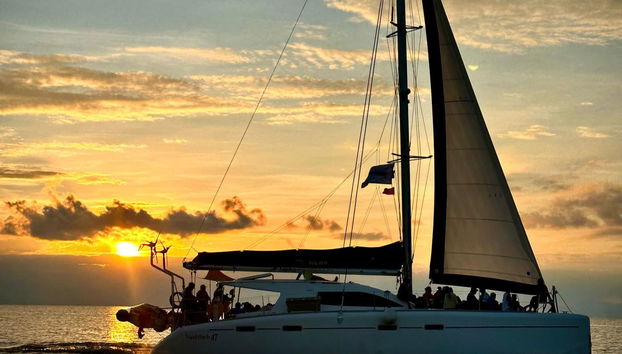 Private Boat Ride in Cozumel - Photo 5