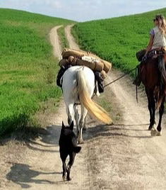 Photo - Balade à cheval dans la réserve naturelle de Padule di Fucecchio