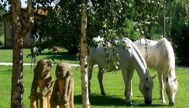 Balade à cheval dans la réserve naturelle de Padule di Fucecchio - Photo 1