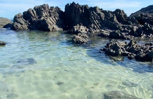 Excursion à Cabo Frio - Photo 2