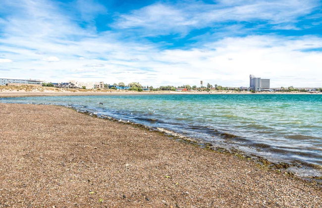 Visite dans Puerto Madryn pour croisiéristes - Photo 1