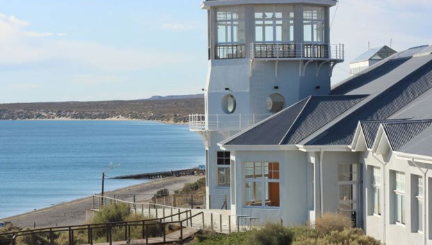Tour por Puerto Madryn para cruceros - Foto 4