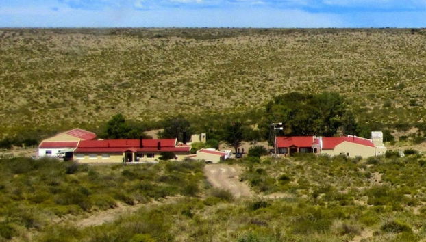 Tour por Puerto Madryn para cruceros - Foto 3