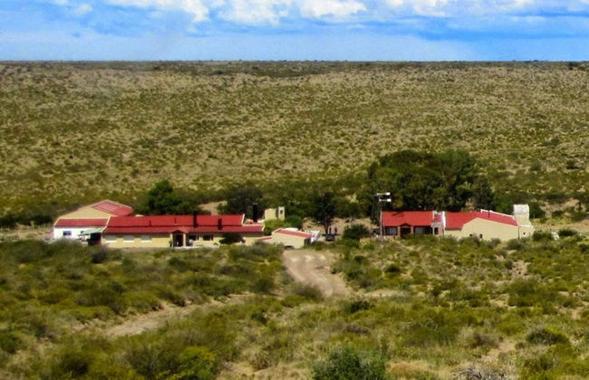 Tour por Puerto Madryn para cruceros - Foto 3