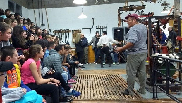 Tour por Puerto Madryn para cruceros - Foto 2