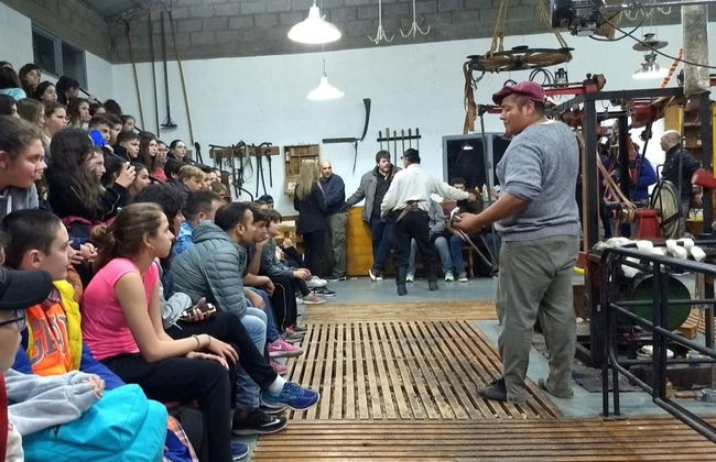Tour por Puerto Madryn para cruceros - Foto 2