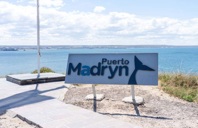 Visite dans Puerto Madryn pour croisiéristes - Photo 3