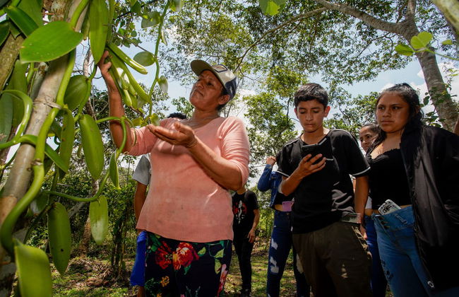 Excursão à Reserva Ecológica de Tingana + Passeio de canoa - Foto 2