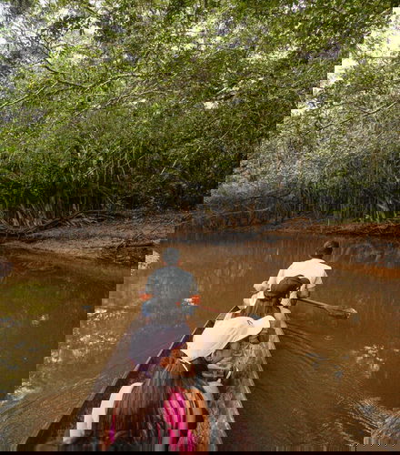 Foto de Excursión a la Reserva Ecológica de Tingana + Paseo en canoa