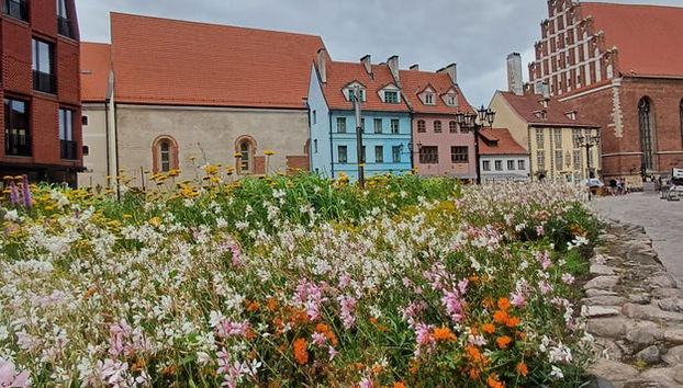 Tour dei misteri e delle leggende di Riga - Photo 4