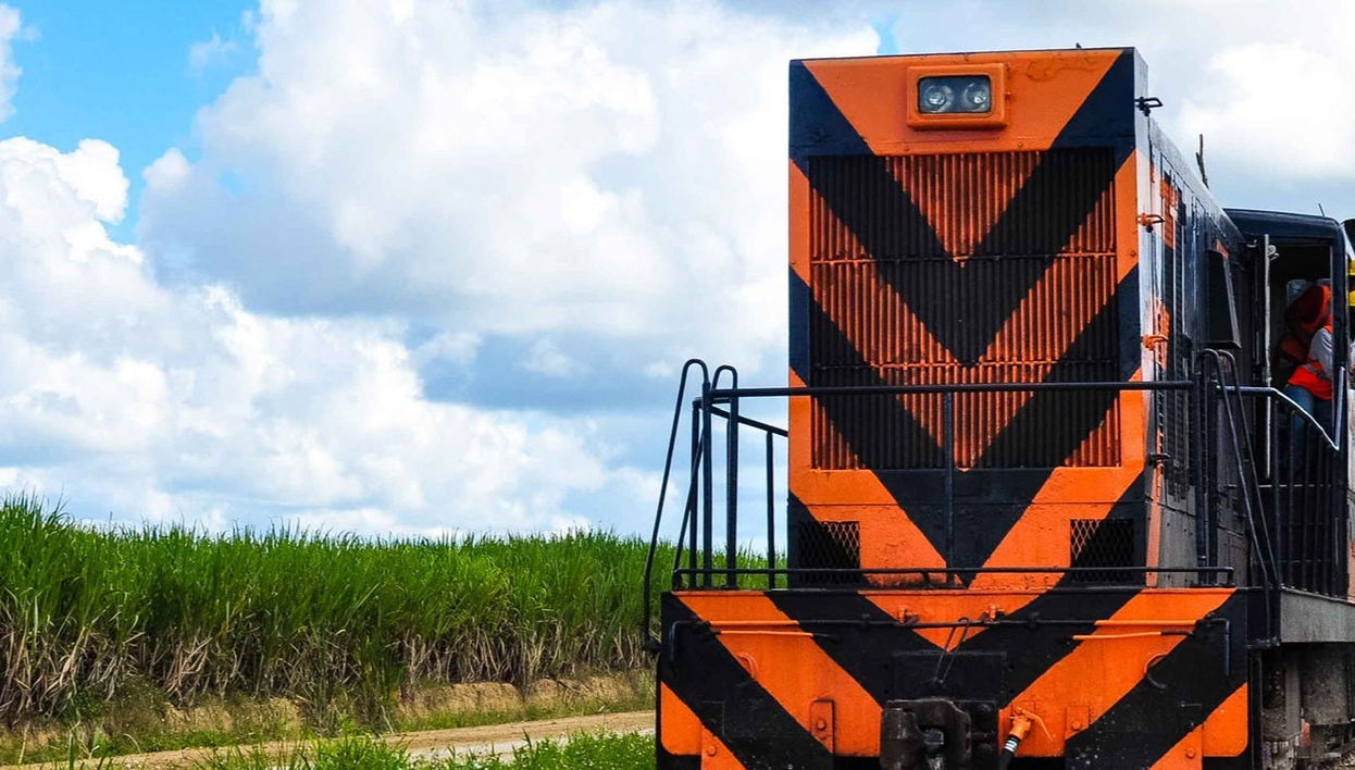 Visita a una hacienda rural dominicana