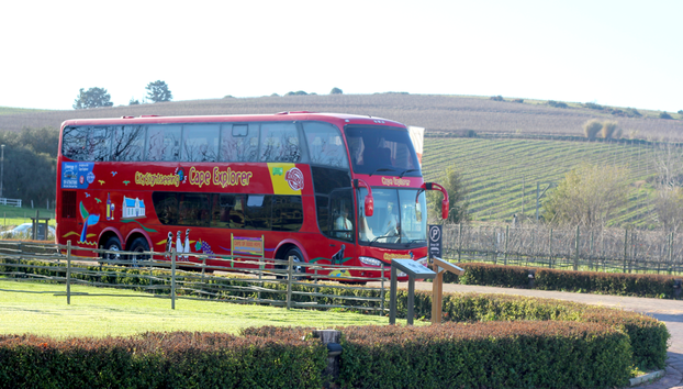 City Sightseeing Cape Town Hop-On Hop-Off Tour - Photo 3