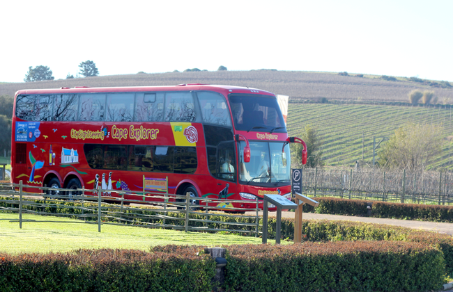 City Sightseeing Kapstadt Hop-On Hop-Off Tour - Foto 3