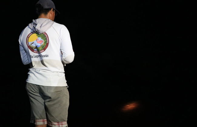 Paseo nocturno en barco por los manglares - Foto 3