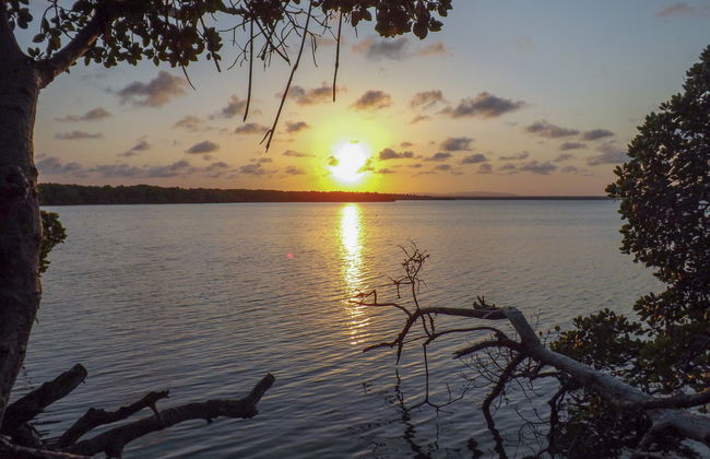 Balade en bateau dans les mangroves de nuit - Photo 1