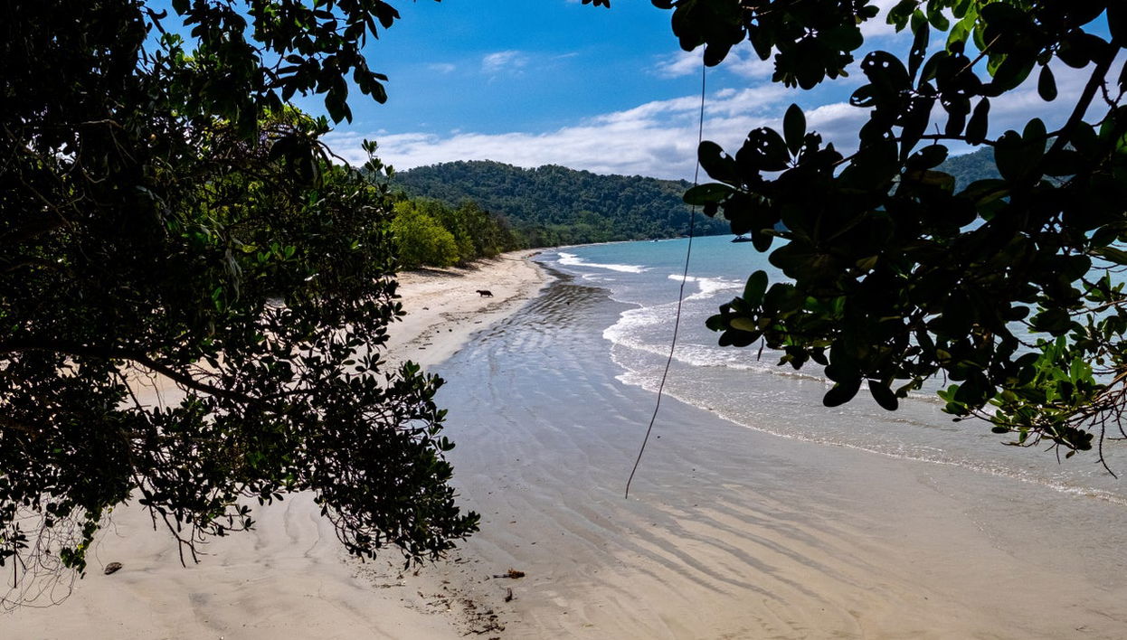 Excursion à Prumirim - Photo 1