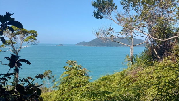 Excursión a la isla de Couves y a la playa de Almada - Foto 3
