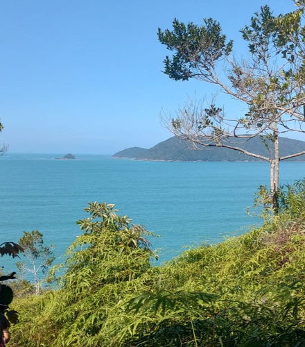 Foto de Excursión a la isla de Couves y a la playa de Almada