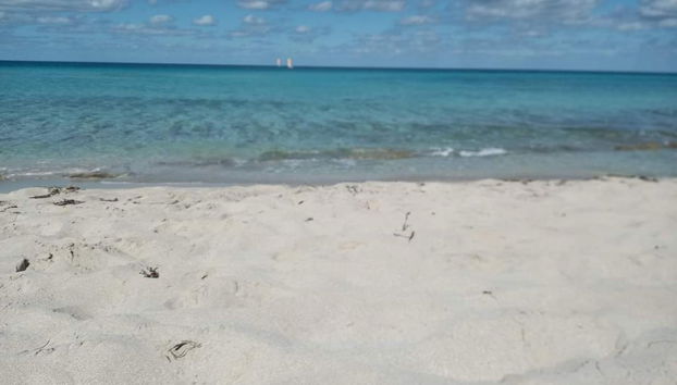 Snorkeling à Varadero - Photo 4