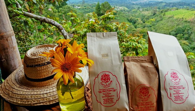 Organic coffee from Finca Tierra Activa