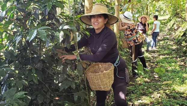 Tour del café por la finca Tierra Activa - Foto 3