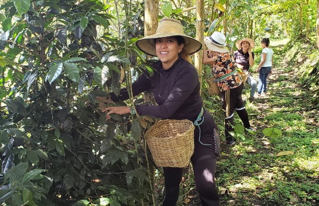 Tour del café por la finca Tierra Activa - Foto 3