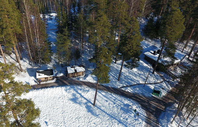 Excursión al Parque Nacional de Sipoonkorpi + Sauna finlandesa - Foto 9