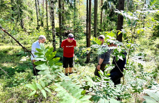 Excursión al Parque Nacional de Sipoonkorpi + Sauna finlandesa - Foto 11