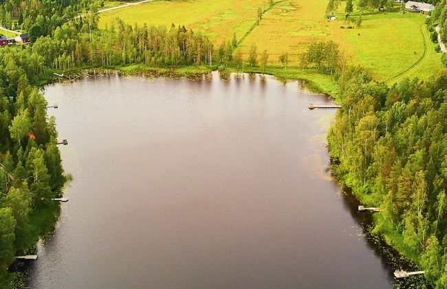 Excursión al Parque Nacional de Sipoonkorpi + Sauna finlandesa - Foto 14