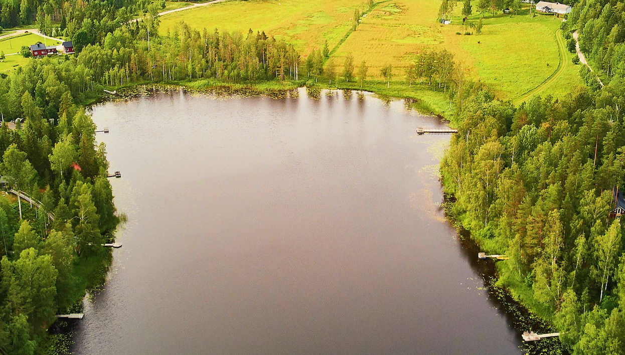 Sipoonkorpi National Park Excursion + Finnish Sauna