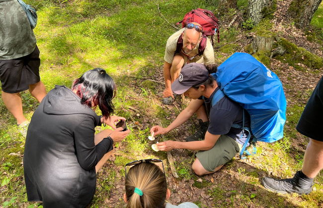 Excursión al Parque Nacional de Sipoonkorpi + Sauna finlandesa - Foto 3