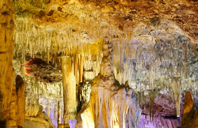 Excursión a las cuevas del Hams y Dinosaurland - Foto 4