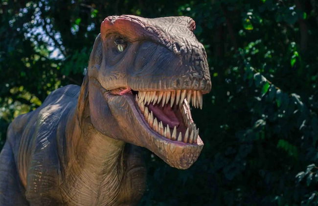 Excursión a las cuevas del Hams y Dinosaurland - Foto 2